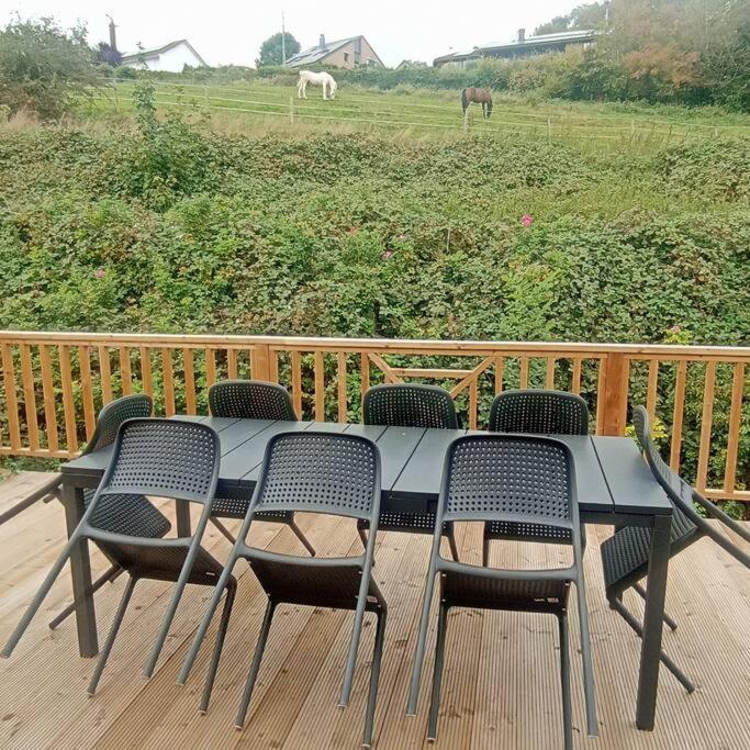 Mariomont-La Terrasse Du Pre Apartment Вервиерс Екстериор снимка
